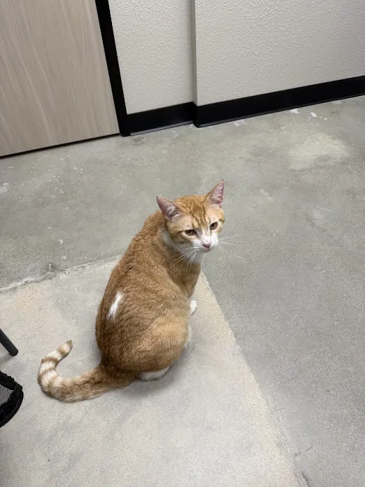 West Bexar Veterinary Clinic 12