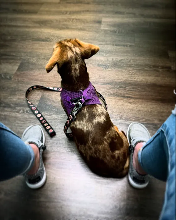 CityVet | Kallison Ranch 12