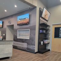 CityVet | Kallison Ranch ico