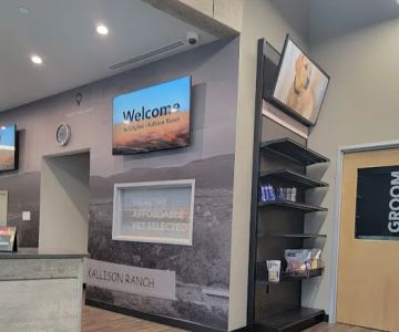 CityVet | Kallison Ranch