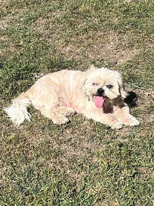 CityVet | Kallison Ranch 12