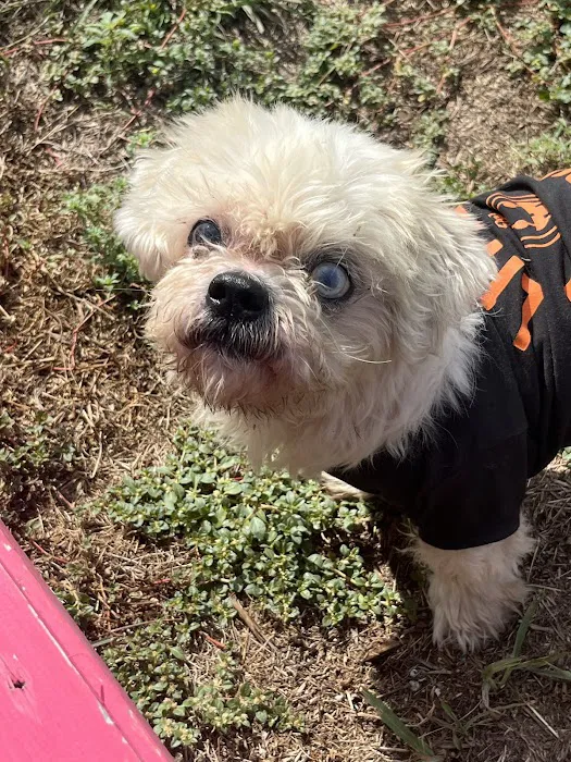 CityVet | Kallison Ranch 12