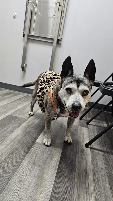 My Pet's Vet Wilderness Oaks 12