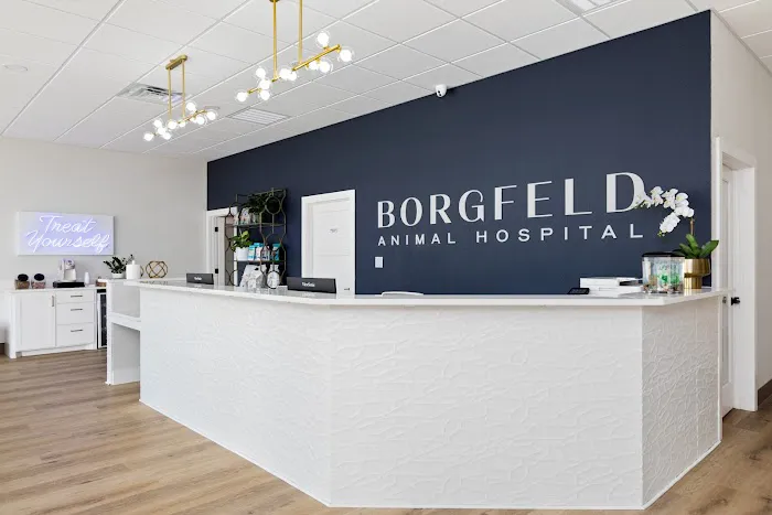 Borgfeld Animal Hospital 12