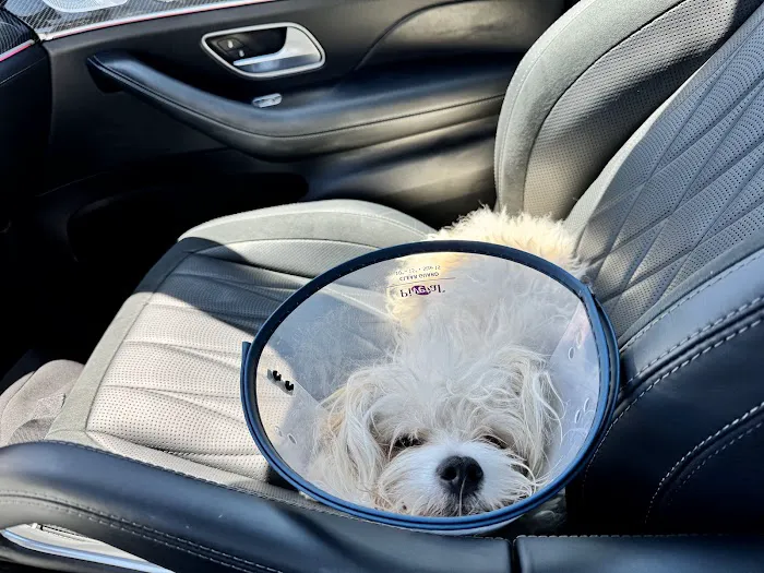 Borgfeld Animal Hospital 12