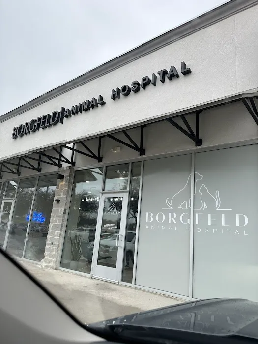 Borgfeld Animal Hospital 12