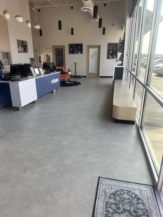 CityVet | Universal City Veterinary Clinic & Urgent Care 12