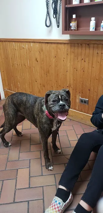 Pat Booker Road Animal Hospital 12