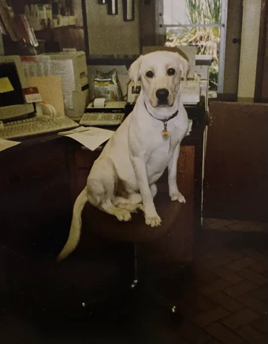 Pat Booker Road Animal Hospital 12