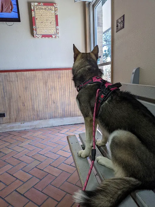 Pat Booker Road Animal Hospital 12