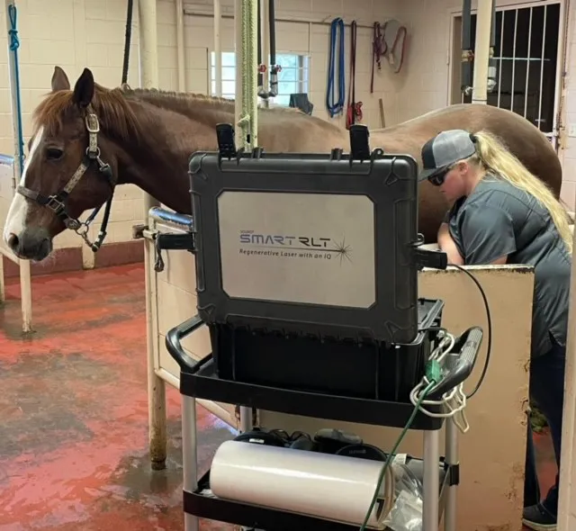 Retama Equine Hospital 12
