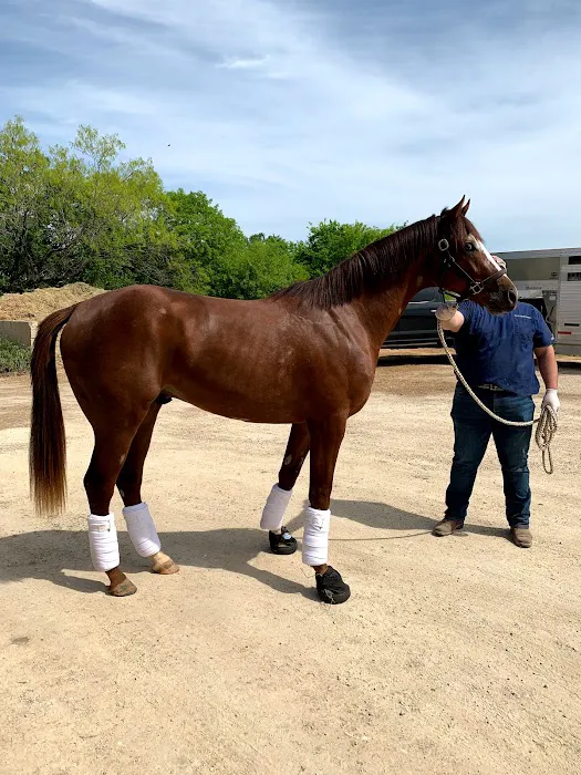 Retama Equine Hospital 12