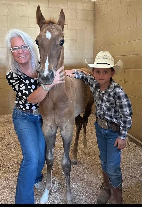 Retama Equine Hospital 12