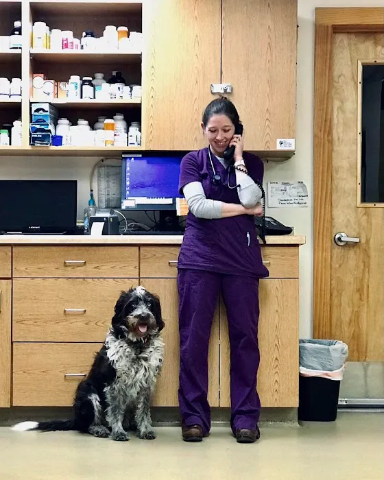 Schertz Animal Hospital 12