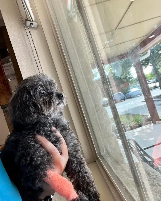 Schertz Animal Hospital 12