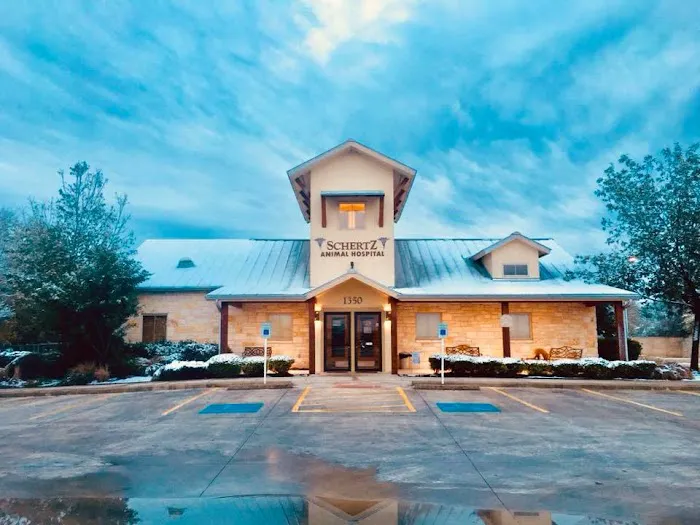 Schertz Animal Hospital 12