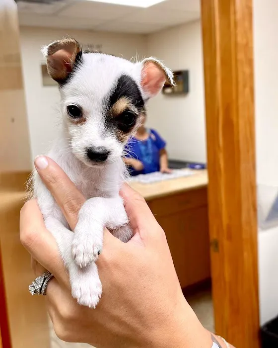 Schertz Animal Hospital 12