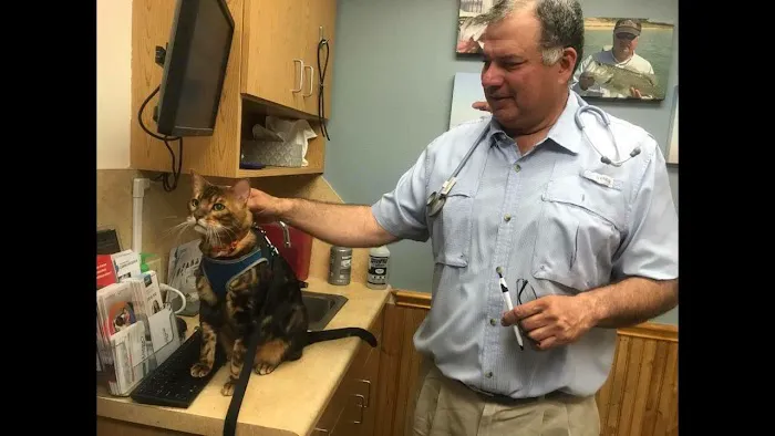 Schertz Animal Hospital 12
