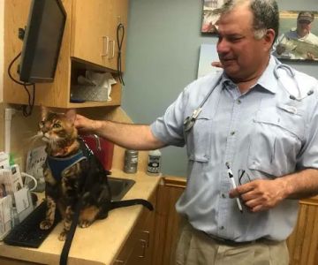 Schertz Animal Hospital