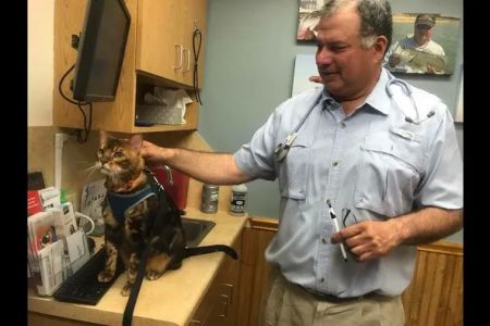 Schertz Animal Hospital