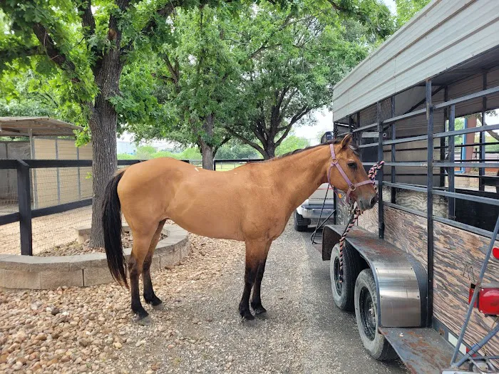 Bracken Equine Clinic 12