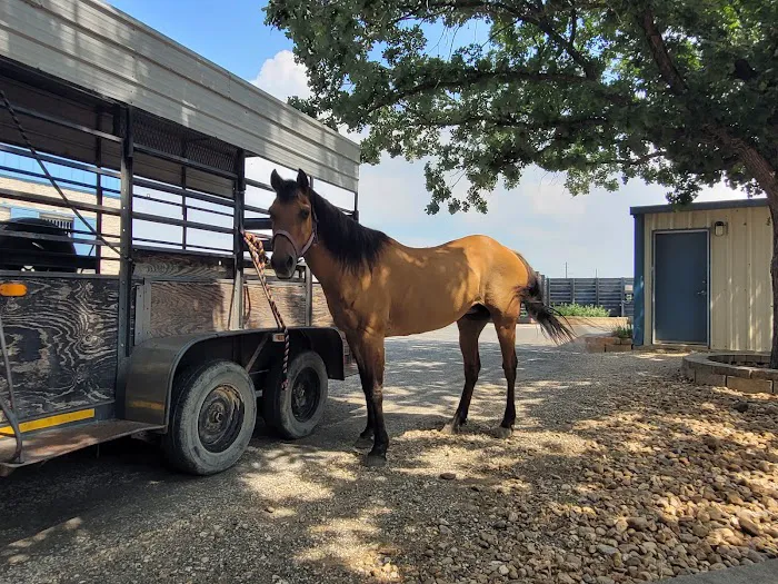 Bracken Equine Clinic 12
