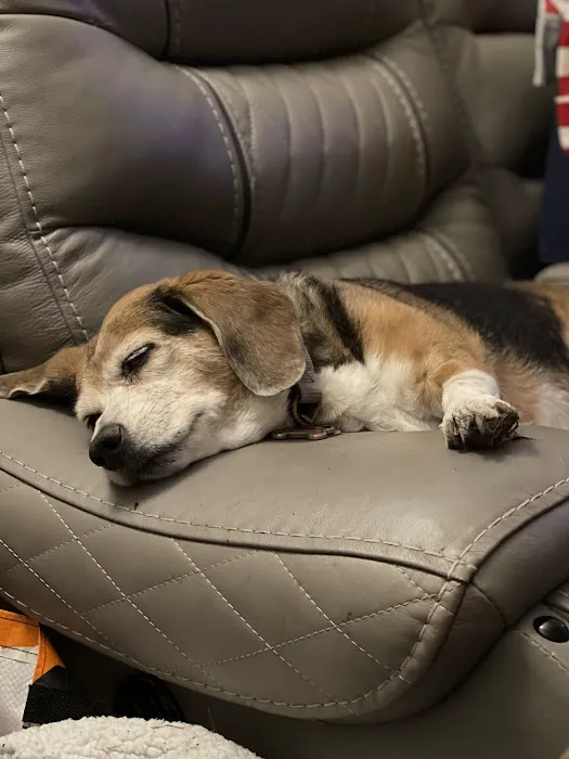 Friendship Pet Hospital 12