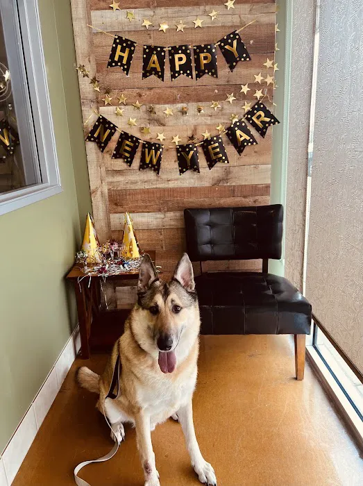 Friendship Pet Hospital 12