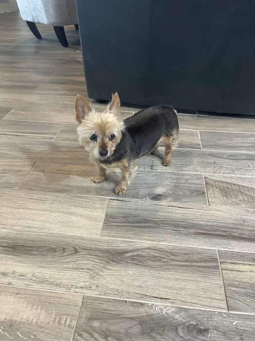 Friendship Pet Hospital 12