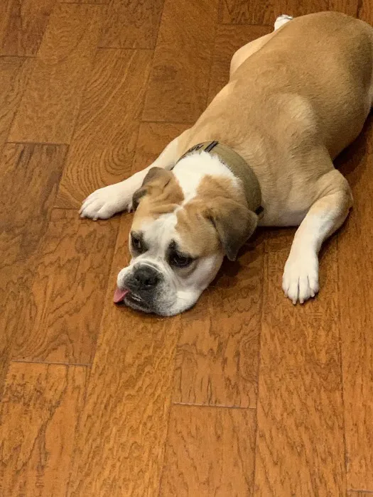 Garden Ridge Animal Hospital 12