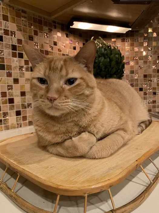 Garden Ridge Animal Hospital 12