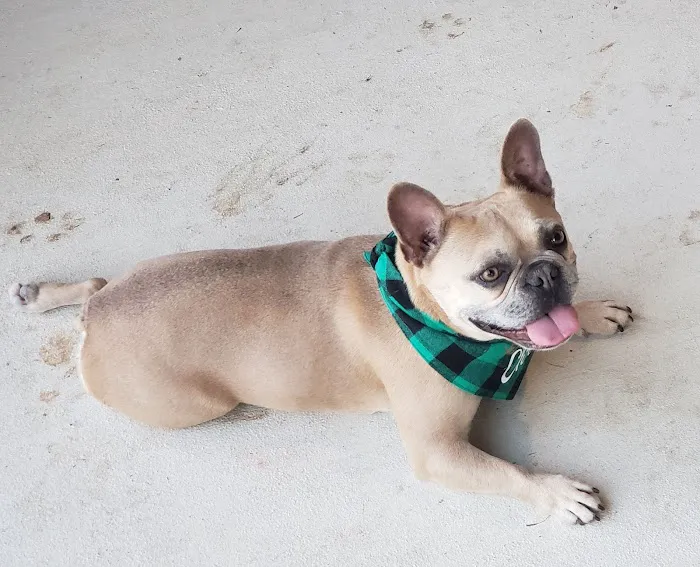 Garden Ridge Animal Hospital 12