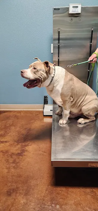 Garden Ridge Animal Hospital 12
