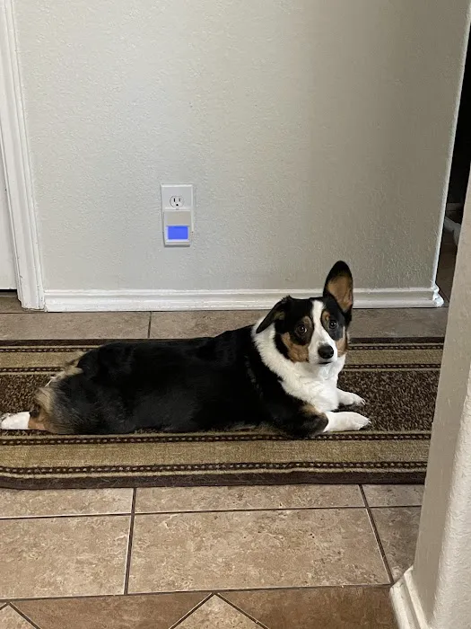 Cibolo Small Animal Hospital 12