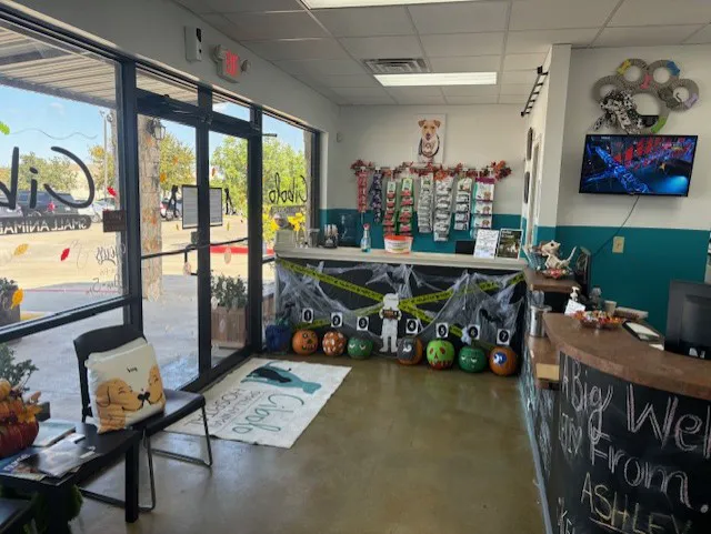 Cibolo Small Animal Hospital 12
