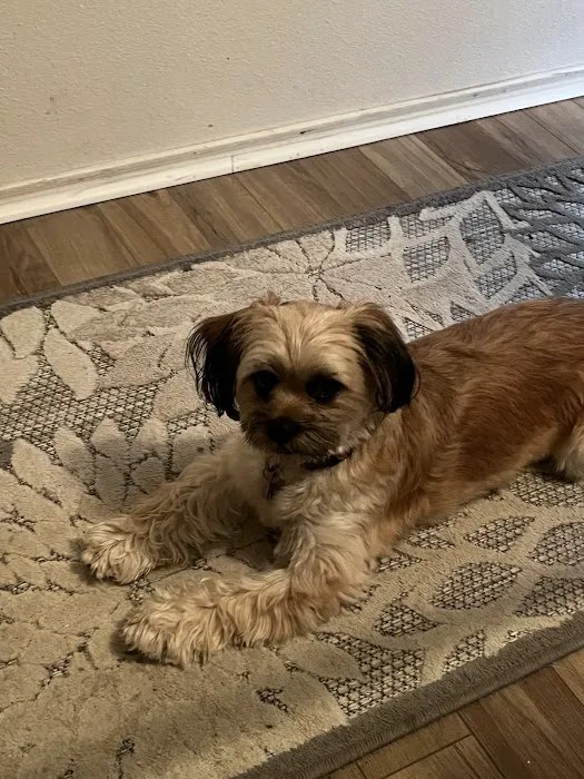 Cibolo Small Animal Hospital 12