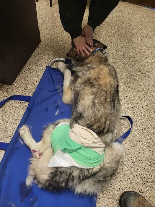 County Line Animal Hospital 12
