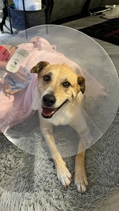 Boerne Stage Veterinary Clinic 12
