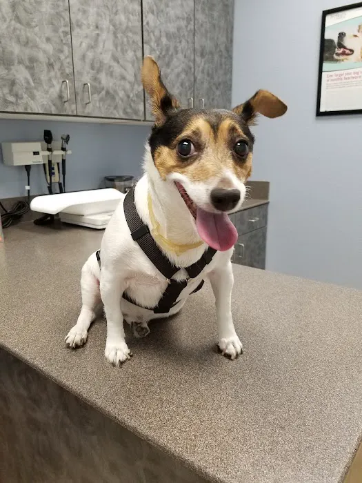 Boerne Stage Veterinary Clinic 12