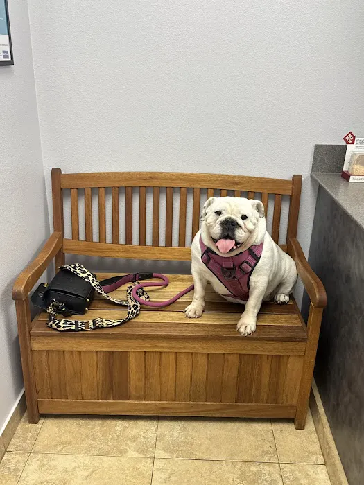 Boerne Stage Veterinary Clinic 12