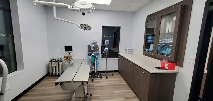 Cutting Edge Pet Clinic 12