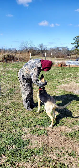 Blount Animal Clinic LLC 12