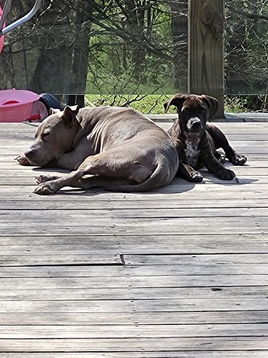 Blount Animal Clinic LLC 12
