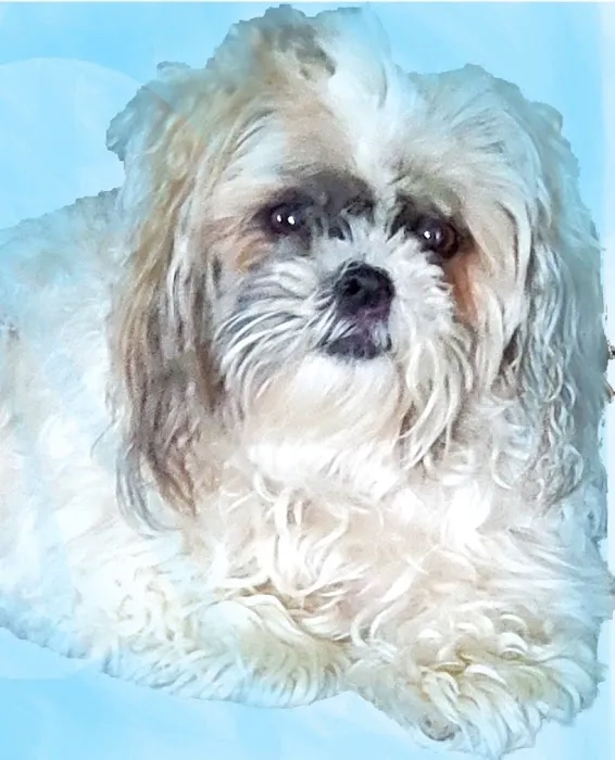 Blount Animal Clinic LLC 12