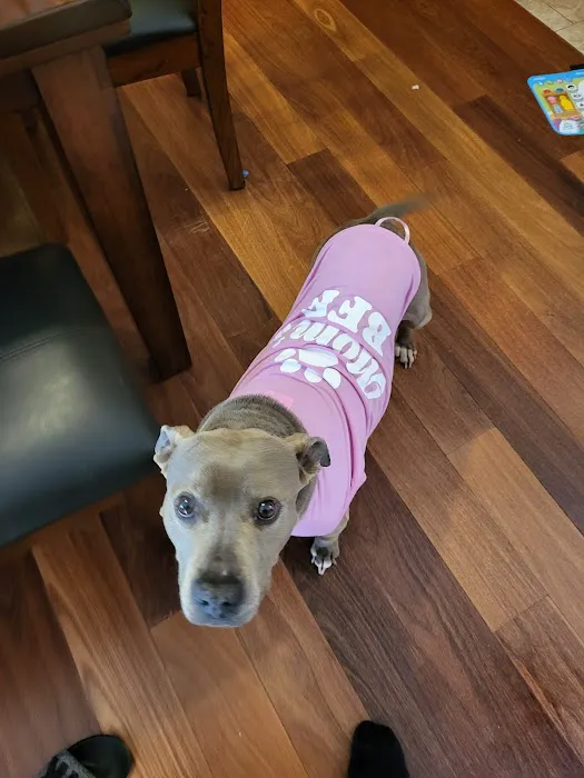 Blount Animal Clinic LLC 12