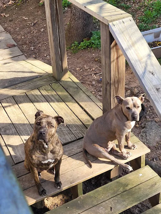 Blount Animal Clinic LLC 12
