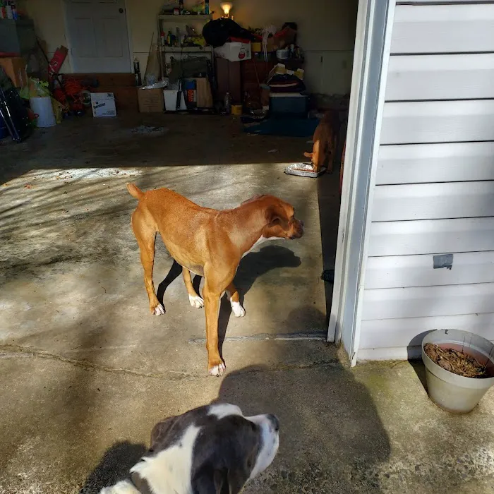 East Point Animal Clinic 12