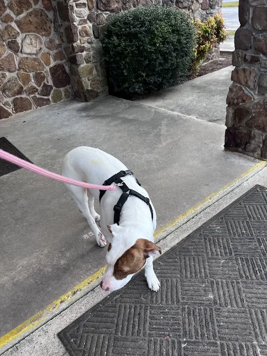East Point Animal Clinic 12
