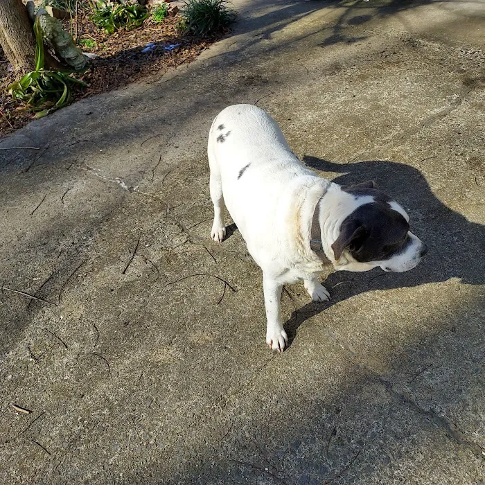 East Point Animal Clinic 12