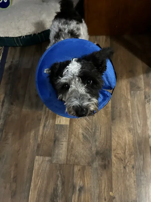 East Point Animal Clinic 12